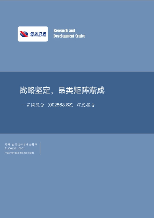 深度报告：战略坚定，品类矩阵渐成