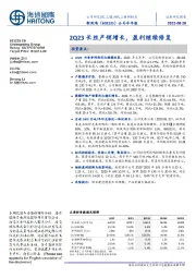 公司半年报:2Q23长丝产销增长,盈利继续修复