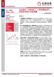 公司简评报告：二季度增速回升，两款新药逐步贡献增量