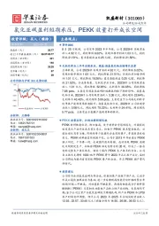 氯化亚砜盈利短期承压，PEKK放量打开成长空间