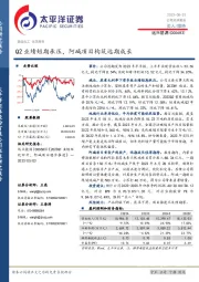 Q2业绩短期承压,阿碱项目构筑远期成长
