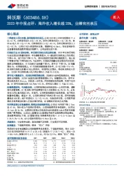 2023年中报点评：海外收入增长超25%，业绩有所承压