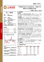 中报点评:下游库存去化已至合理水位,新老产品助推公司业绩逐步向好
