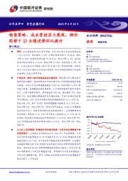 销售策略、成本管控实力展现，锂价弱势下Q2业绩逆势环比提升