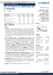 2023年半年报点评：Q2业绩符合预期，看好自主新能源转型