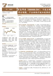 中报业绩符合预期，产品结构升级加速推进