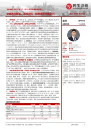 2023年半年度报告点评：业绩再创新高，新能源车+民用液冷共振上行