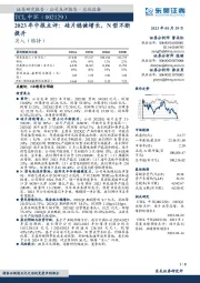 2023年中报点评：硅片稳健增长，N型不断提升