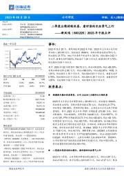 2023年中报点评:二季度业绩持续改善,看好涤纶长丝景气上行