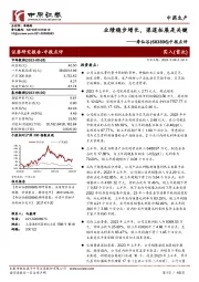 中报点评：业绩稳步增长，渠道拓展是关键