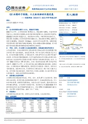 2023年半年报点评:Q2业绩好于预期,三大板块驱动长期发展