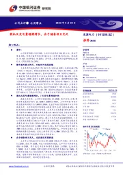装机及发电量稳健增长,在手储备项目充足
