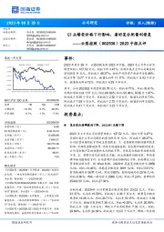 2023中报点评:Q2业绩受价格下行影响,看好复合肥量利修复