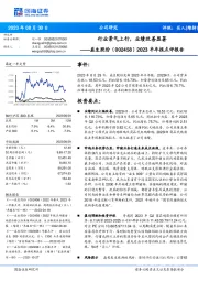 2023半年报点评报告:行业景气上行,业绩改善显著