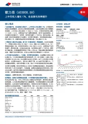 上半年收入增长17%，各品牌毛利率提升