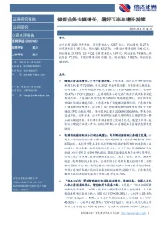 储能业务大幅增长,看好下半年增长持续