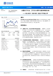 2023半年报点评：业绩优于行业，多元化+国际化提供新增长极