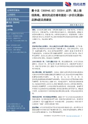2023H1点评:线上表现亮眼,顺利完成定增有望进一步优化渠道&品牌&新品类建设