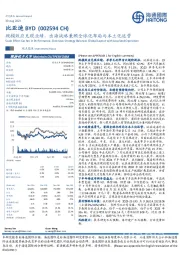 规模效应兑现业绩,出海战略兼顾全球化布局与本土化运营