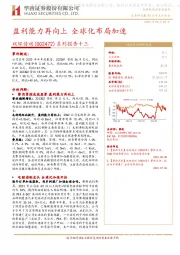 系列报告十三:盈利能力再向上 全球化布局加速