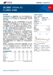 收入业绩高增，财务稳健