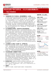 中微公司深度报告：刻蚀设备国产替代领军者，内生外延驱动稳健成长