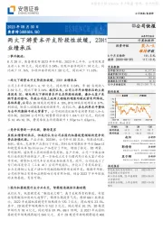 两大下游资本开支阶段性放缓，23H1业绩承压