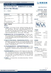 2023年半年报点评：持续推动多元化战略，海内外产能不断拓展！