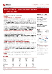 双环传动点评报告:海外业务加速布局,齿轮龙头盈利能力持续提升