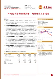 终端需求影响短期业绩,期待海外业务进展