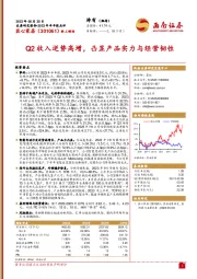 Q2收入逆势高增，凸显产品实力与经营韧性