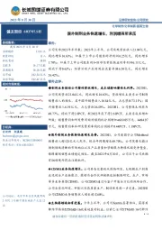 国外制剂业务快速增长，利润端有所承压