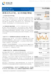 新需求多点开花，Q2利润稳步释放