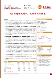 Q2业绩稳健增长,毛利率同比修复