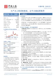 云产品上线进程提速,全年业绩值得期待