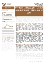 三大业务板块并驾齐驱,储能业务表现亮眼