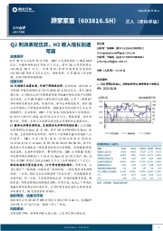 Q2利润表现优异，H2收入增长加速可期