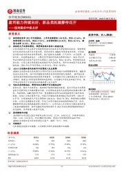 恒帅股份中报点评：盈利能力持续向好，新品类拓展静待花开