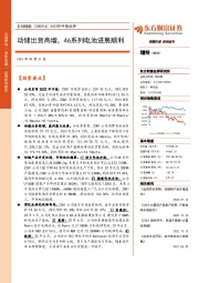 2023年中报点评:动储出货高增,46系列电池进展顺利