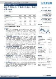 2023年中报点评：产能技术双领先，受益N型盈利高增