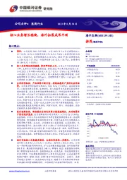 核心业务增长稳健，海外拓展成果丰硕