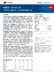 上半年收入基本持平，自主品牌业务增长24%