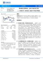 2023年中报点评报告:营收增长利润承压,海外市场未来可期