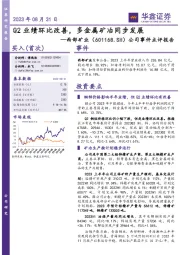 公司事件点评报告:Q2业绩环比改善,多金属矿冶同步发展