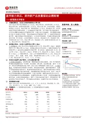 新强联点评报告:盈利能力承压,期待新产品放量驱动业绩高增