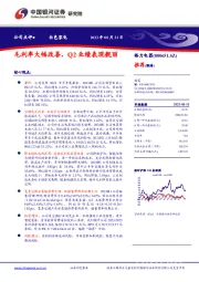 毛利率大幅改善，Q2业绩表现靓丽