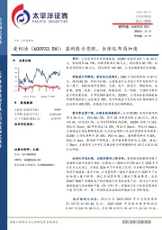 盈利能力亮眼,全球化布局加速