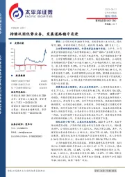 持续巩固优势业务，发展道路稳中有进