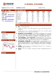 23H1增长动能切换，非手机业务快速增长