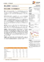照明主业稳健,车灯利润增速向好